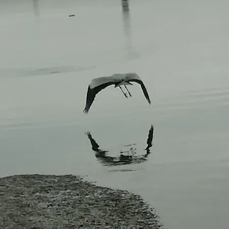 70's Tiny Boat Hotel en barco *